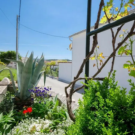 Apartment Slobodanka Lopar